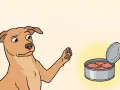 Un perro mira con duda una lata abierta de atún, preguntándose si los perros pueden comer atún.