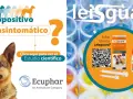 Perro seropositivo asintomático. Información sobre el leishmaniasis tratamiento perros y el producto Leisguard.