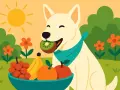 Un perro blanco con un pañuelo azul disfruta de un kiwi. Al lado, un cuenco lleno de frutas y flores naranjas bajo el sol. ¡Los perros pueden comer kiwi!