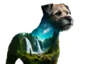Un border terrier con un paisaje de cascadas y bosque en su interior, y el cielo estrellado en su cuello.