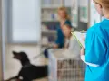 Veterinaria revisa información sobre cuándo esterilizar a una perra. En el fondo, una mujer y un niño esperan con su perro.