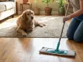Persona friega el suelo con un mocho mientras su perro descansa. Soluciones para saber con qué fregar el suelo cuando hay perros.