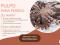 Pulpo para perros: sí, los perros pueden comer pulpo. Es nutritivo y bajo en grasa. Aquí te explicamos cómo ofrecerlo.