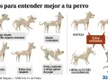 Ilustración muestra el **comportamiento canino** con diferentes posturas y expresiones, indicando estados como miedo, curiosidad, relajación, estrés y ganas de jugar.