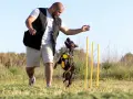 Hombre entrenando a su perro en un campo. El perro salta con entusiasmo mientras el hombre le da una orden.