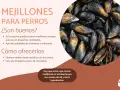 Los perros pueden comer mejillones cocidos y sin concha. Son una fuente de vitaminas y minerales, pero evita los escabechados.