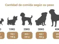 Siluetas de perros de distintos tamaños, de 5 a 40 kg, con la cantidad de alimento recomendada para la dieta ideal de los cachorros.