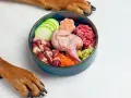 Un perro espera ansioso su dieta cocinada: un festín de codorniz, corazones, carne picada y verduras frescas en un cuenco azul.