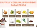 Lista de que frutas no pueden comer los perros: cebolla, aguacate, patata, limón, naranja, ajo, uvas, puerro y pasas.