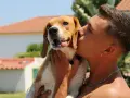 Un joven da un tierno beso a su perro beagle. ¡A los perros les gustan los besos!
