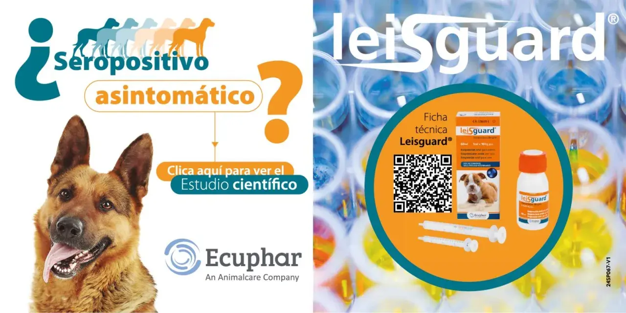 Perro seropositivo asintomático. Información sobre el leishmaniasis tratamiento perros y el producto Leisguard.