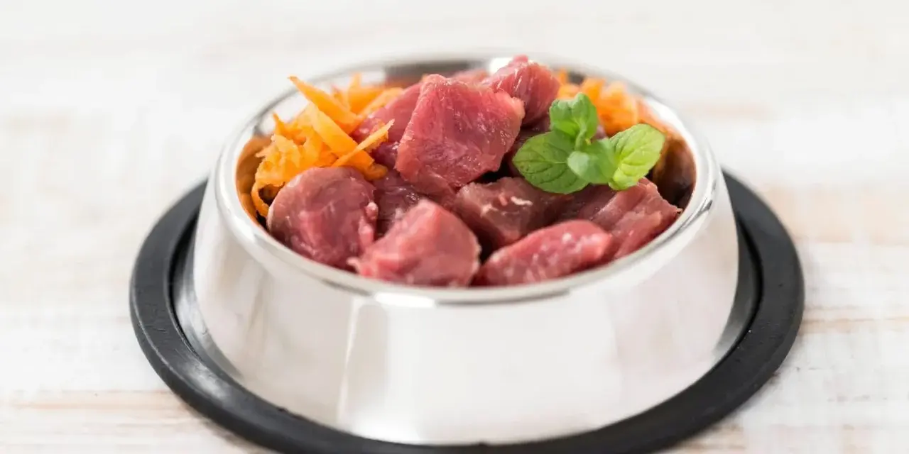Un cuenco de metal lleno de trozos de carne cruda y zanahoria rallada, perfecto para una dieta BARF perros casera.