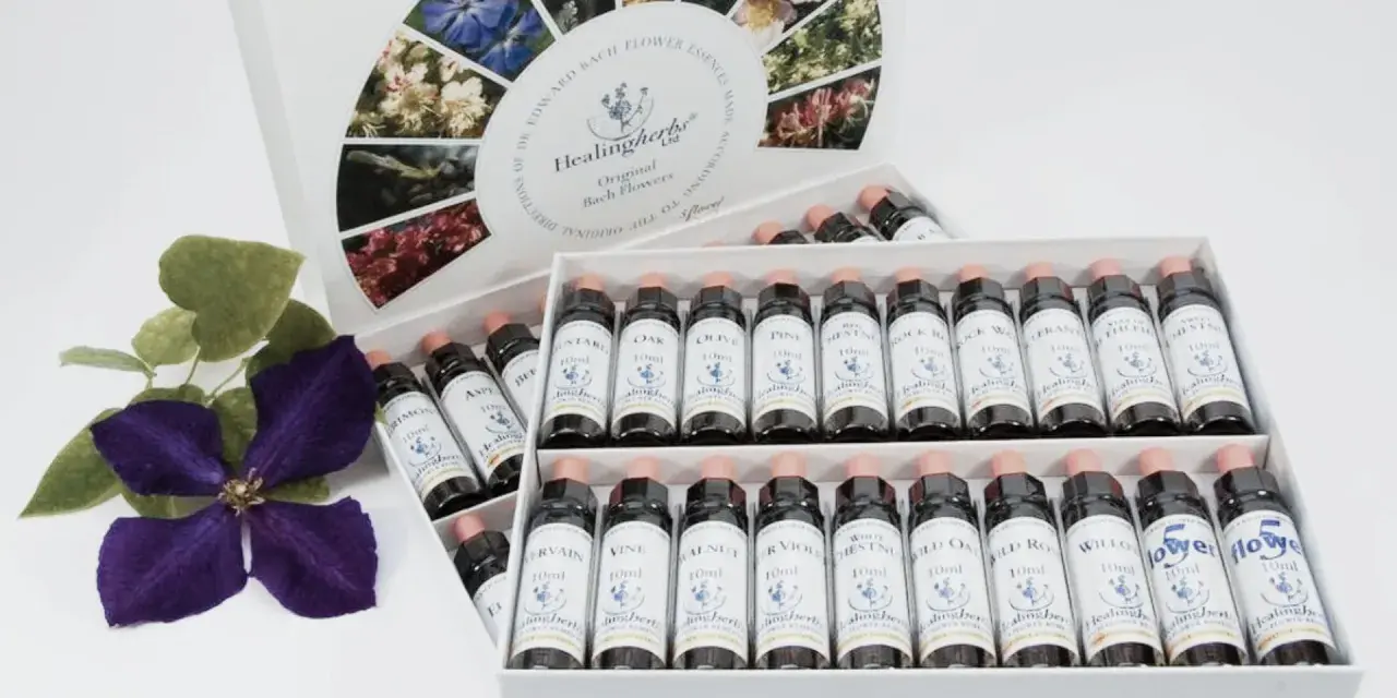 Caja de flores de Bach para perros con varias botellas de esencias florales y una flor morada.