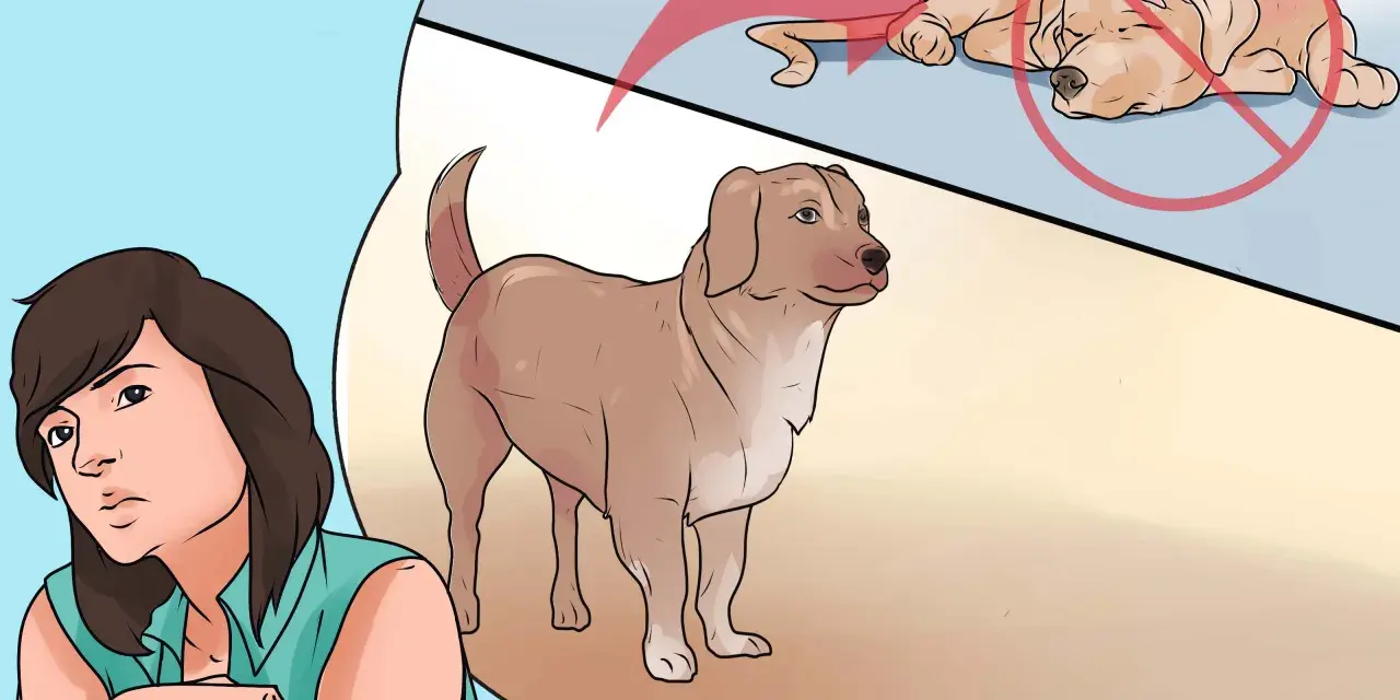 Una mujer preocupada mira a su perro sano, mientras una burbuja de pensamiento muestra un perro sufriendo de sarna animal.