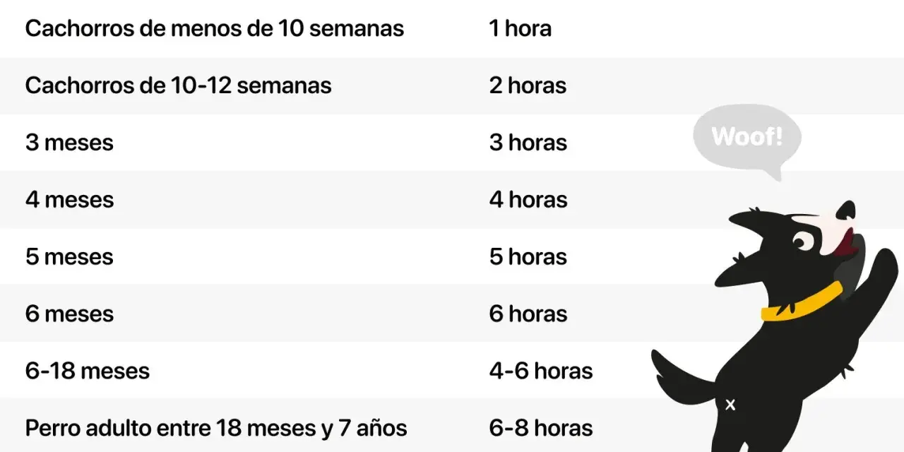 Tabla con edades de perros y tiempo recomendado para dejarlos solos. Guía para como acostumbrar a un perro a quedarse solo.