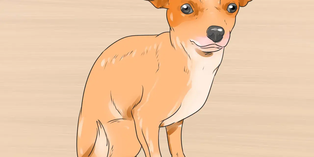 Un adorable chihuahua cachorro sentado, listo para aprender sobre sus cuidados.