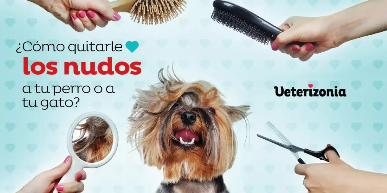 ¿Cómo quitarle los nudos a tu perro o gato? Cepillos, tijeras y un espejo para ayudarte a desenredar el pelo.