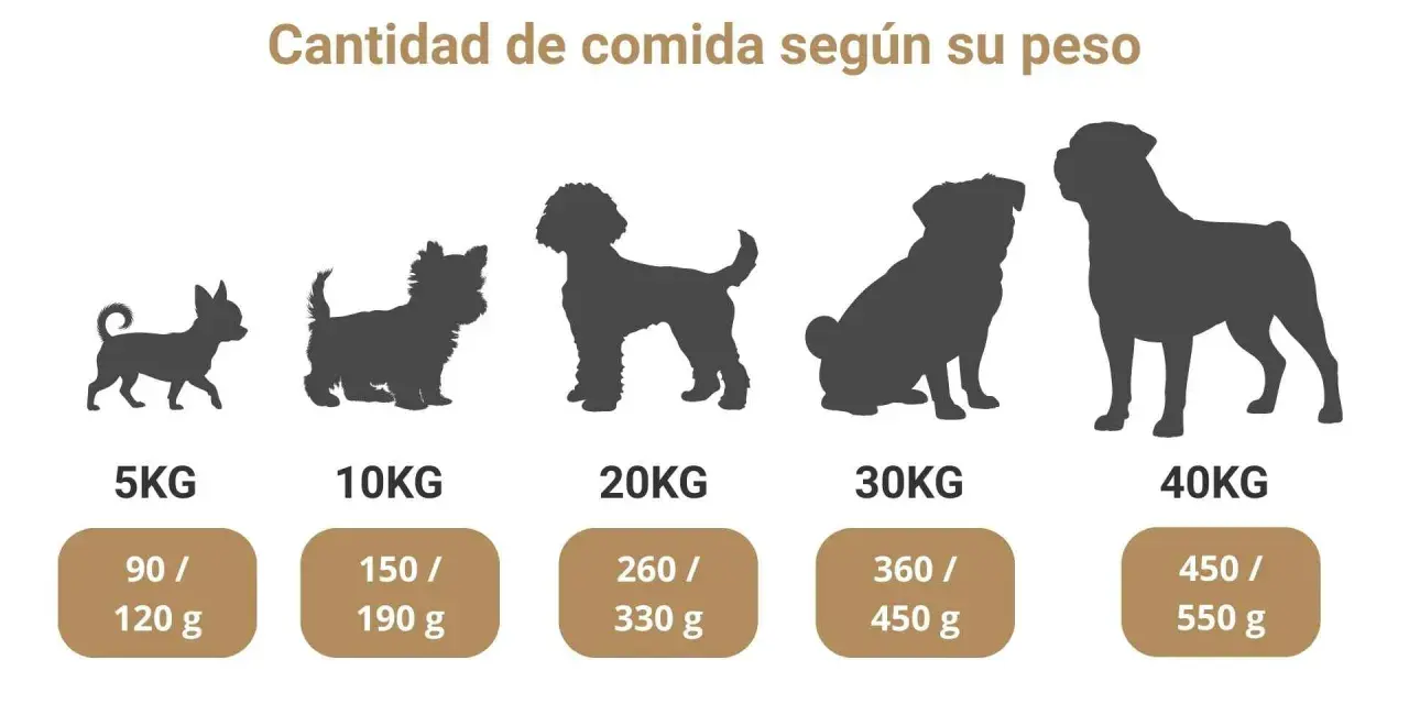 Siluetas de perros de distintos tamaños, de 5 a 40 kg, con la cantidad de alimento recomendada para la dieta ideal de los cachorros.