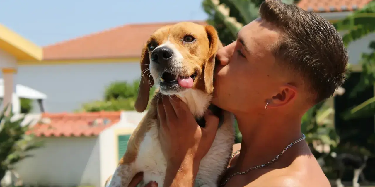 Un joven da un tierno beso a su perro beagle. ¡A los perros les gustan los besos!