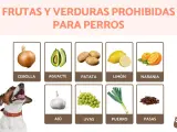 Lista de que frutas no pueden comer los perros: cebolla, aguacate, patata, limón, naranja, ajo, uvas, puerro y pasas.