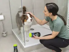 Mujer acaricia a su perro mientras lo baña en la ducha, sosteniendo un champú especial para mascotas.