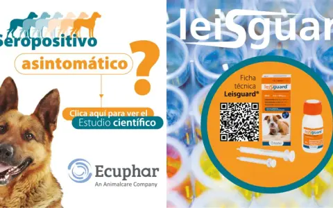 Perro seropositivo asintomático. Información sobre el leishmaniasis tratamiento perros y el producto Leisguard.
