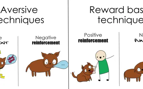 Ilustración compara técnicas aversivas (castigo positivo, refuerzo negativo) con técnicas basadas en recompensa (refuerzo positivo, castigo negativo).