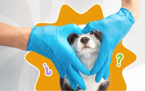 Manos con guantes azules forman un corazón alrededor de un cachorro, simbolizando los cuidados de un cachorro de 2 meses.