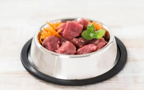 Un cuenco de metal lleno de trozos de carne cruda y zanahoria rallada, perfecto para una dieta BARF perros casera.