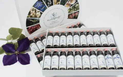 Caja de flores de Bach para perros con varias botellas de esencias florales y una flor morada.