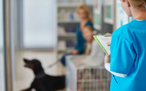 Veterinaria revisa información sobre cuándo esterilizar a una perra. En el fondo, una mujer y un niño esperan con su perro.