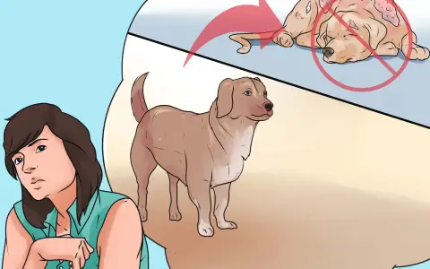 Una mujer preocupada mira a su perro sano, mientras una burbuja de pensamiento muestra un perro sufriendo de sarna animal.