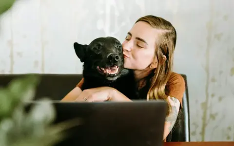 Mujer besa a su perro velcro, un labrador negro, mientras trabaja en su portátil.