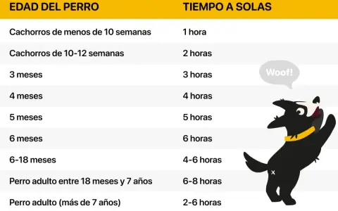 Tabla con edades de perros y tiempo recomendado para dejarlos solos. Guía para como acostumbrar a un perro a quedarse solo.