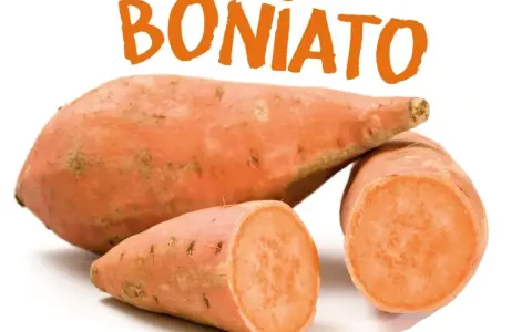 Boniato, un alimento saludable que los perros pueden comer.