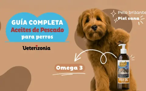 Guía completa de aceite de pescado para perros. Promueve pelo brillante y piel sana con Omega 3.
