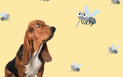 Un basset hound mira con recelo a varios mosquitos animados. ¡Cuidado con la leishmania en perros!