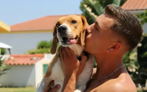 Un joven da un tierno beso a su perro beagle. ¡A los perros les gustan los besos!