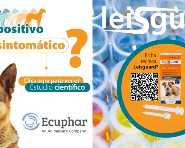 Perro seropositivo asintomático. Información sobre el leishmaniasis tratamiento perros y el producto Leisguard.