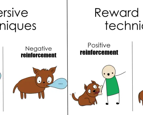 Ilustración compara técnicas aversivas (castigo positivo, refuerzo negativo) con técnicas basadas en recompensa (refuerzo positivo, castigo negativo).