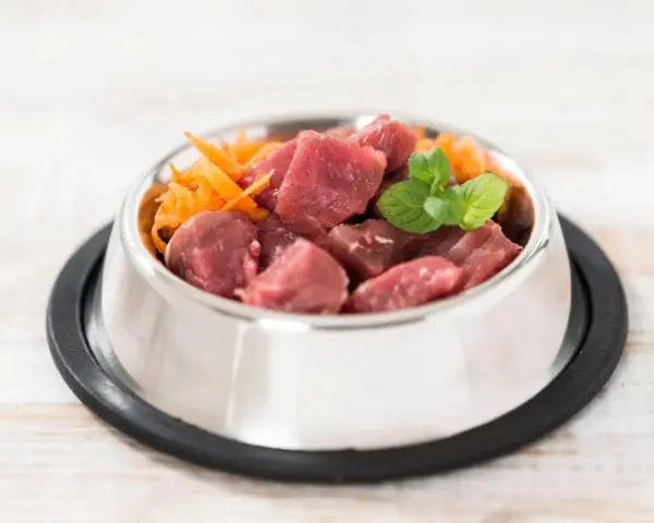 Un cuenco de metal lleno de trozos de carne cruda y zanahoria rallada, perfecto para una dieta BARF perros casera.