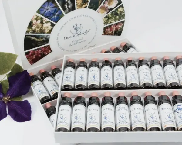 Caja de flores de Bach para perros con varias botellas de esencias florales y una flor morada.