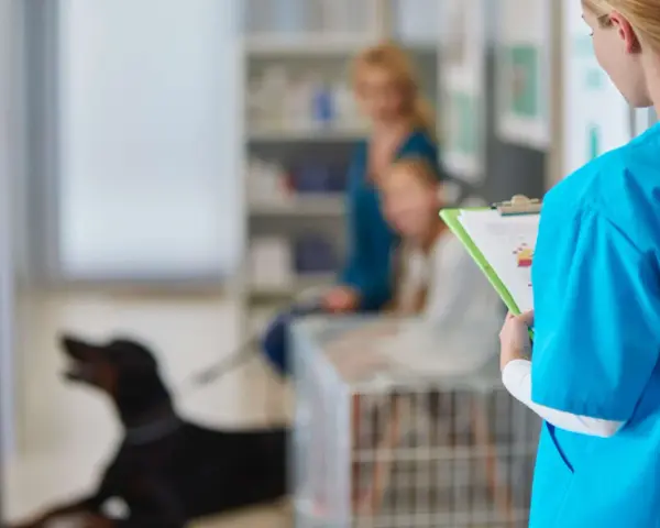 Veterinaria revisa información sobre cuándo esterilizar a una perra. En el fondo, una mujer y un niño esperan con su perro.