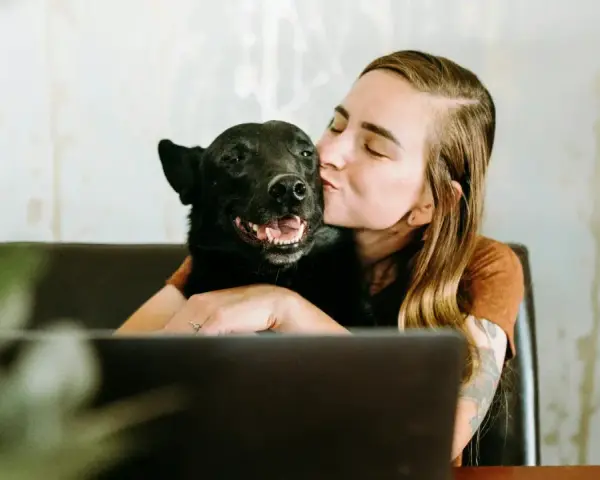 Mujer besa a su perro velcro, un labrador negro, mientras trabaja en su portátil.