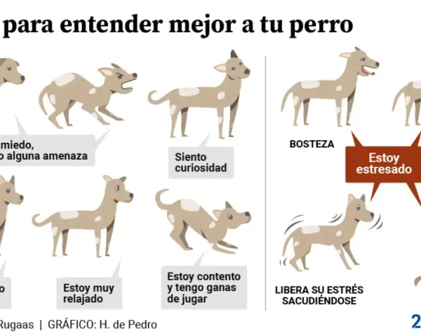 Ilustración muestra el **comportamiento canino** con diferentes posturas y expresiones, indicando estados como miedo, curiosidad, relajación, estrés y ganas de jugar.