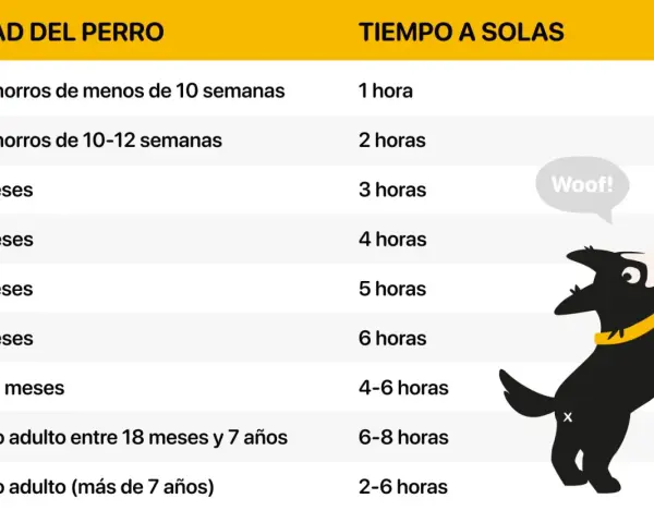 Tabla con edades de perros y tiempo recomendado para dejarlos solos. Guía para como acostumbrar a un perro a quedarse solo.