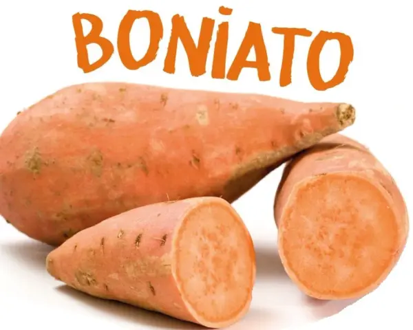 Boniato, un alimento saludable que los perros pueden comer.