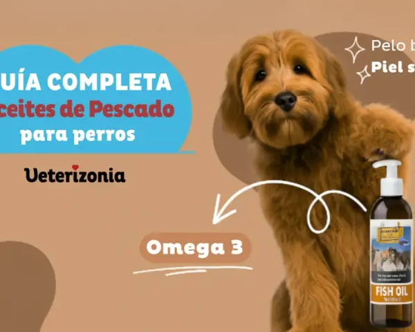 Guía completa de aceite de pescado para perros. Promueve pelo brillante y piel sana con Omega 3.