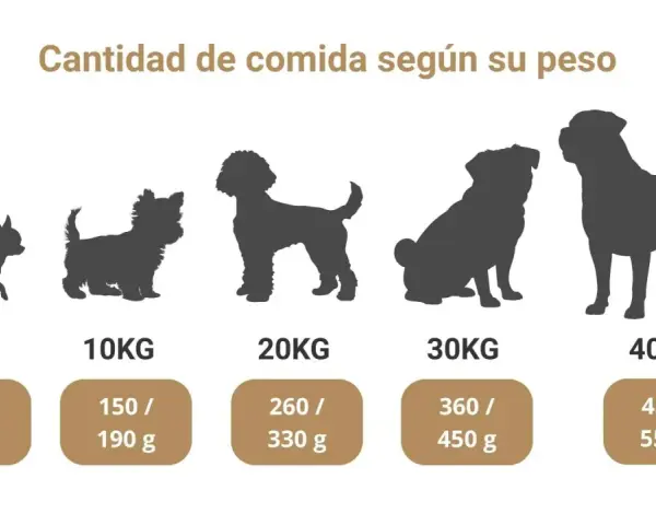 Siluetas de perros de distintos tamaños, de 5 a 40 kg, con la cantidad de alimento recomendada para la dieta ideal de los cachorros.