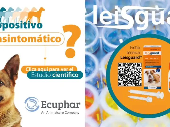 Perro seropositivo asintomático. Información sobre el leishmaniasis tratamiento perros y el producto Leisguard.
